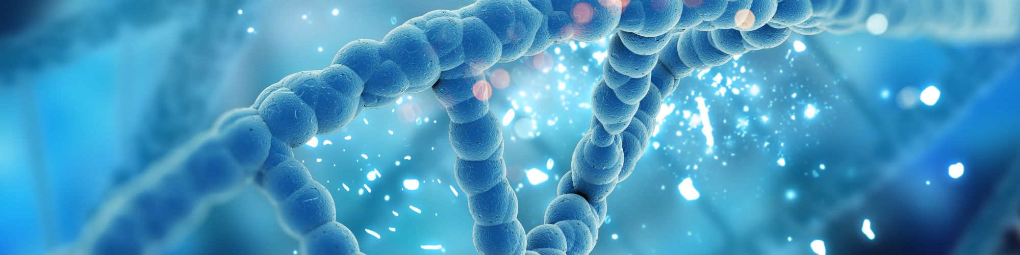 Kinderen met WSS stralen anders, maar zó bijzonder